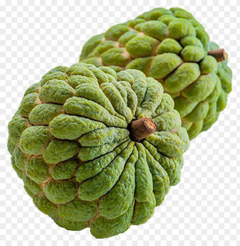 Sugar Apple Png Image Transparent - Custard Apple Fruit PNG Transparent With Clear Background ID 275378