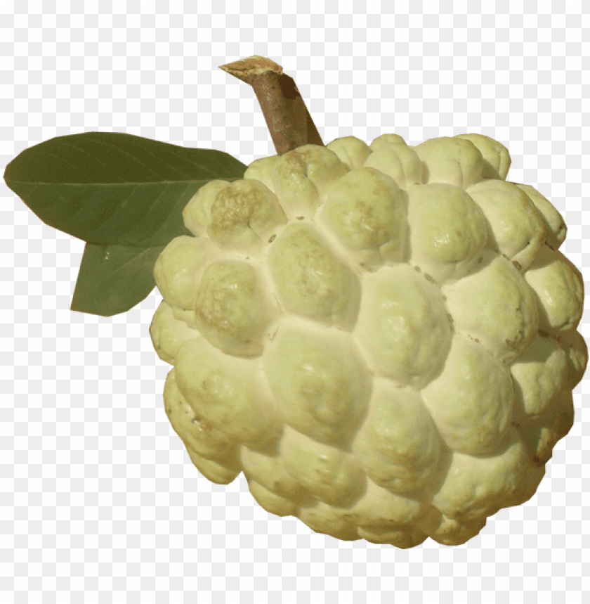 sugar apple png picture - nmk1 custard apple PNG image with transparent background@toppng.com