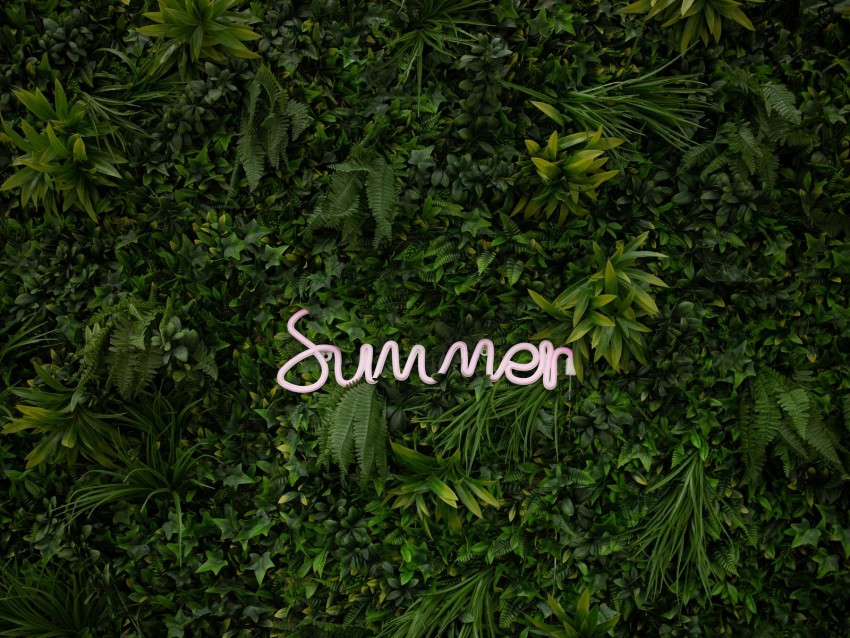summer, vegetation, inscription, plants, greenery