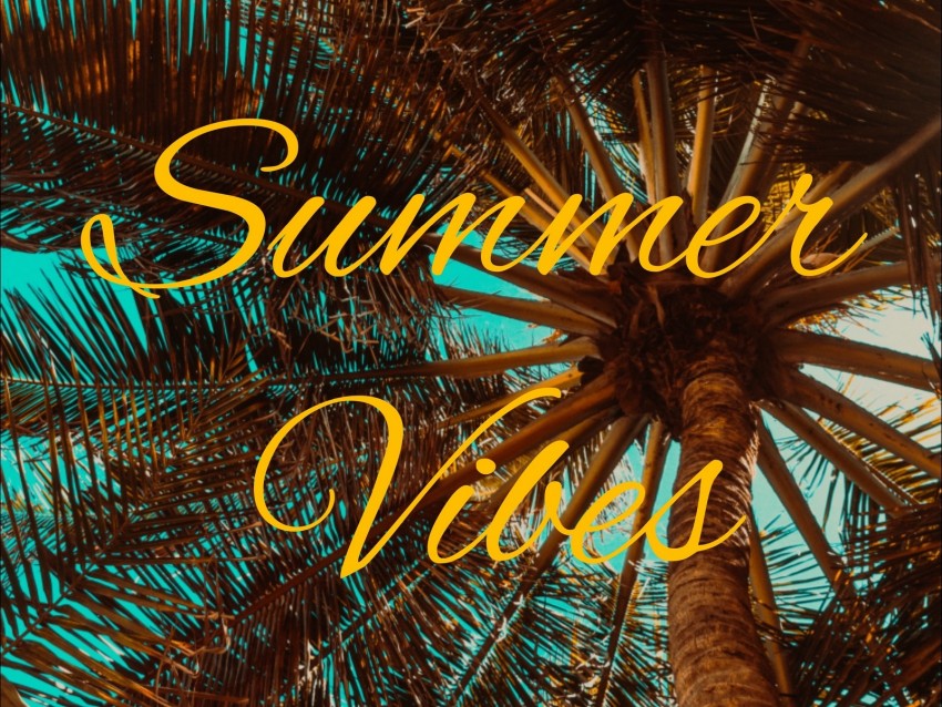 summer, vibes, palm, mood