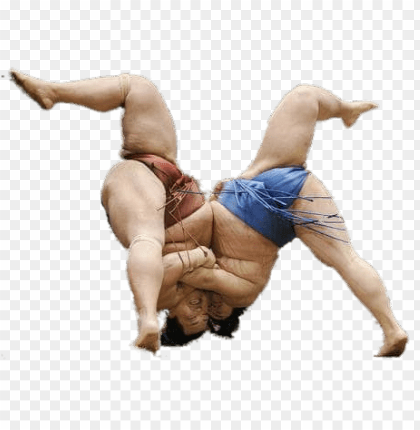 sports, sumo, sumo wrestlers upside down, 