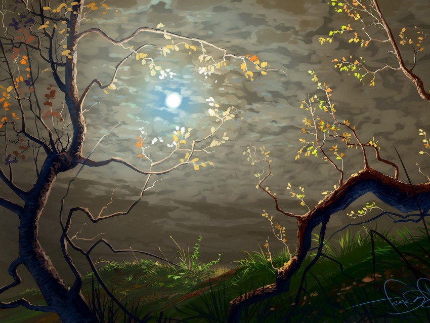 sun, clouds, art, branches, trees