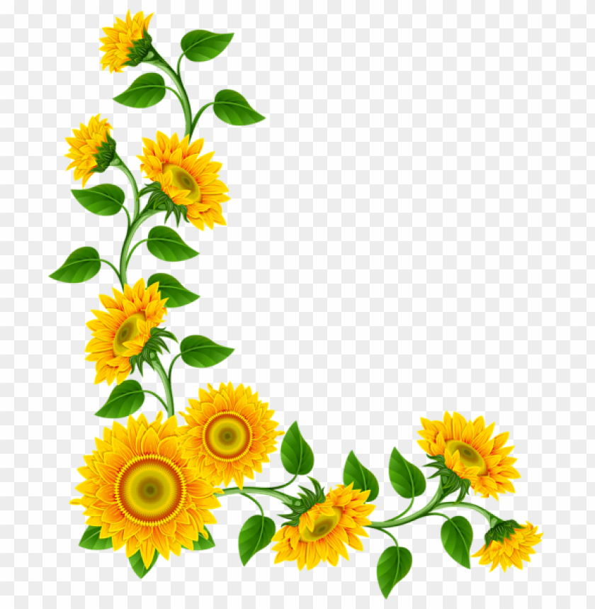 sunflower border decoration