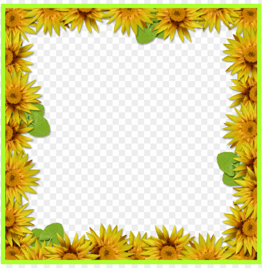 sunflower border png PNG transparent with Clear Background ID 104982