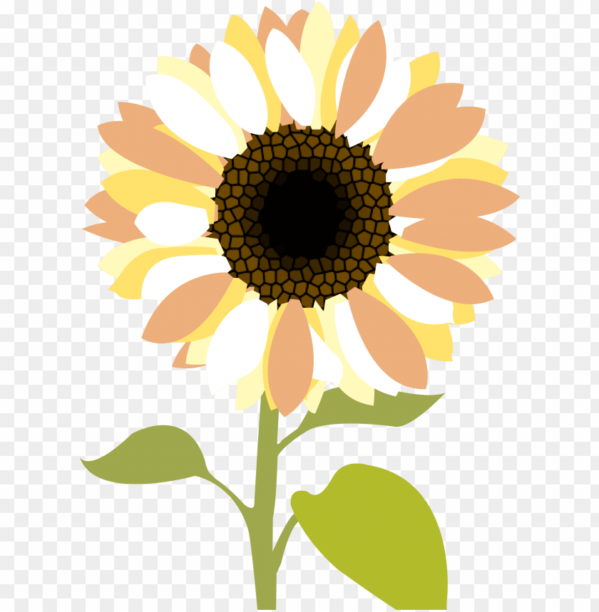 Sunflower Clipart Png Png Image With Transparent Background Toppng