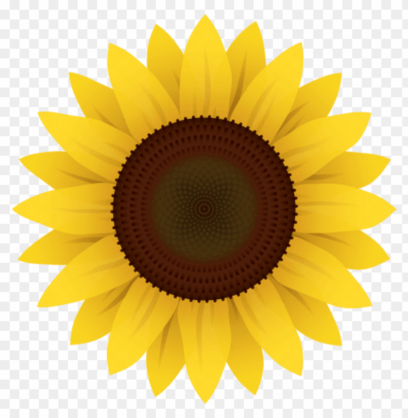 Free Free 280 Watercolor Sunflower Clipart Free SVG PNG EPS DXF File