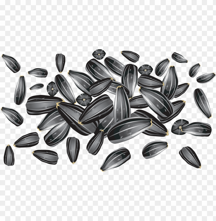 Sunflower Clipart Sunflower Seed Sunflower Seeds Vector Free PNG Image With Transparent Background@toppng.com