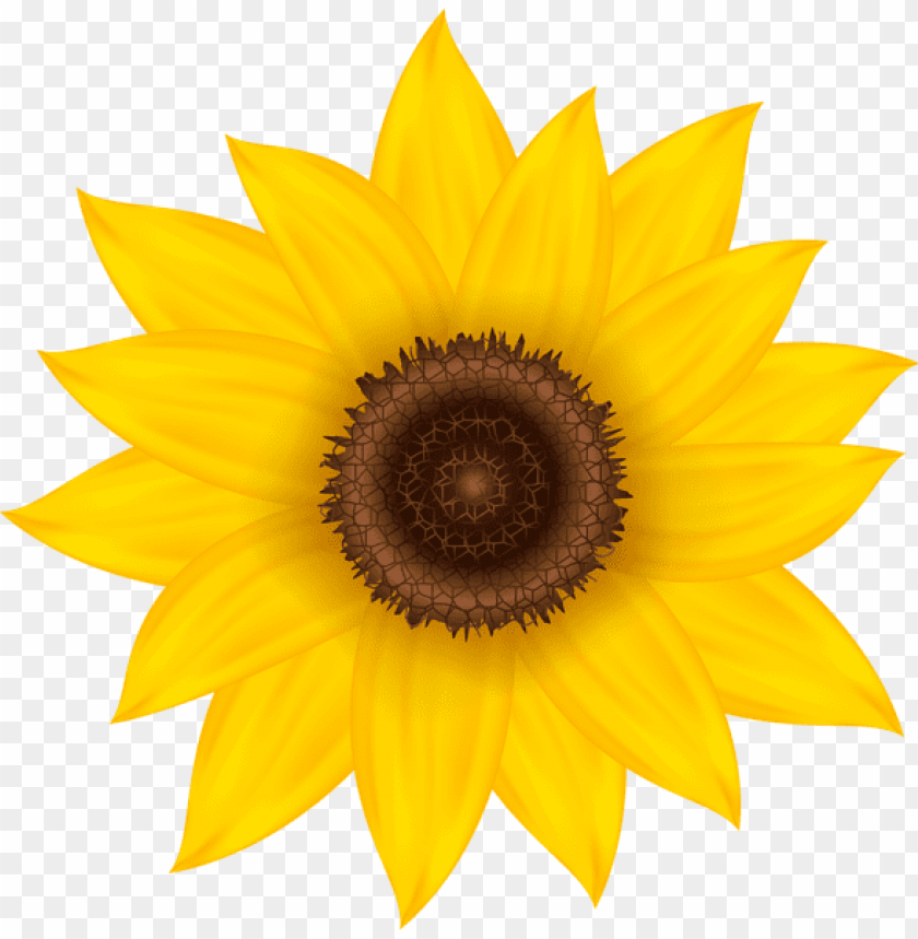 sunflower deco