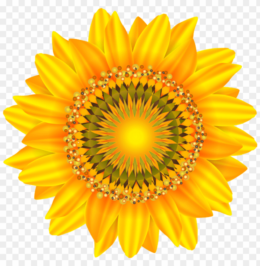 sunflower decorative