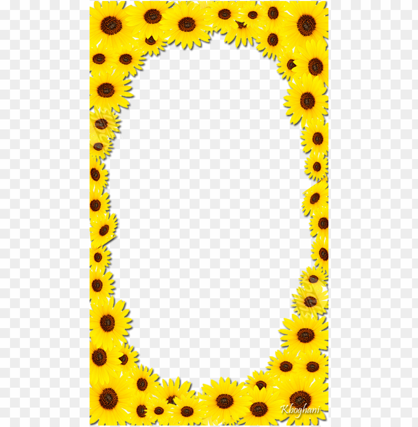 sunflower frame png, sunflower,frame,png