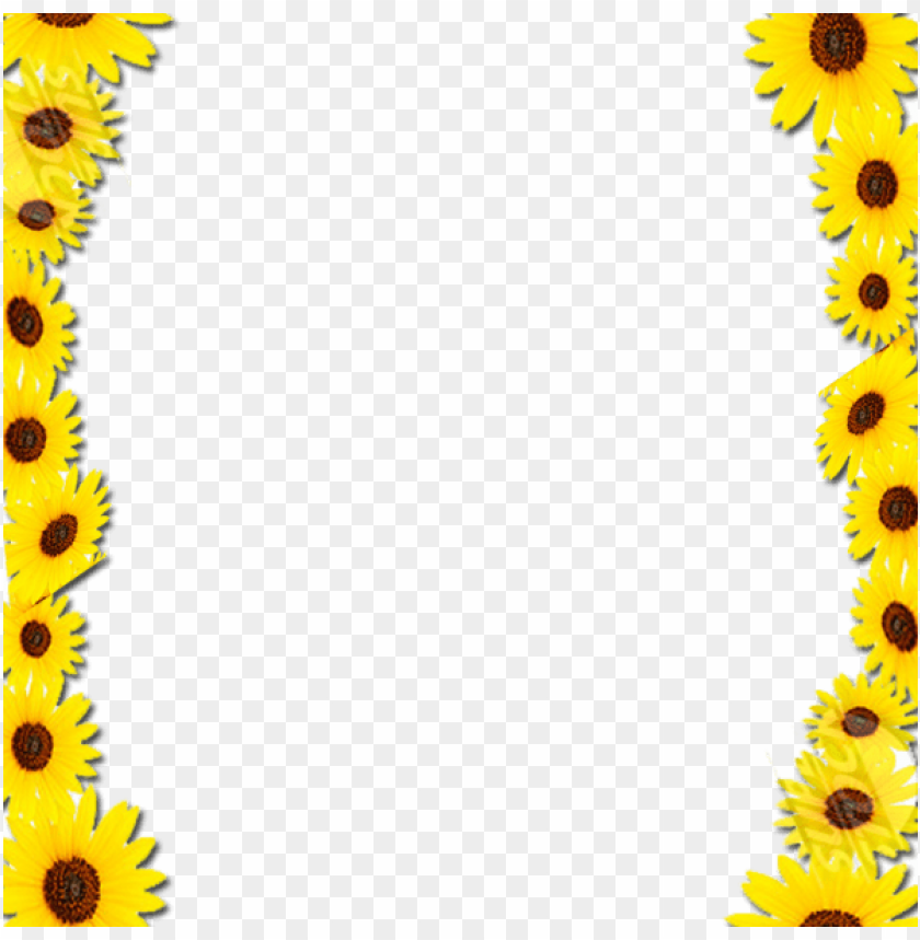 Sunflower Frame Png Png Image With Transparent Background Toppng