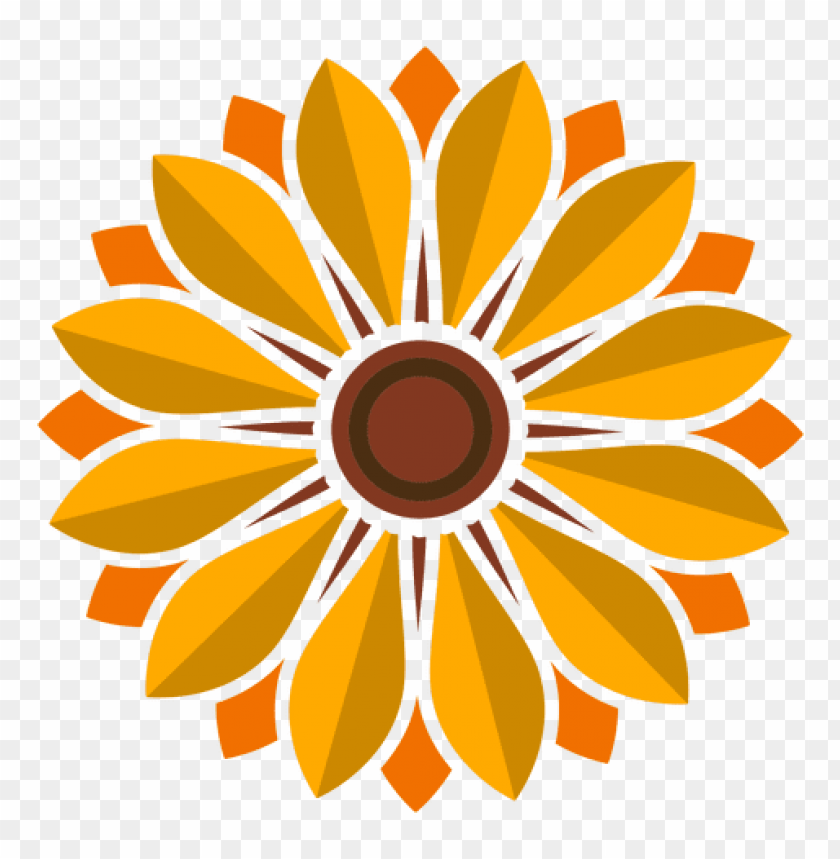 sunflower png vector, sunflower,png,vector