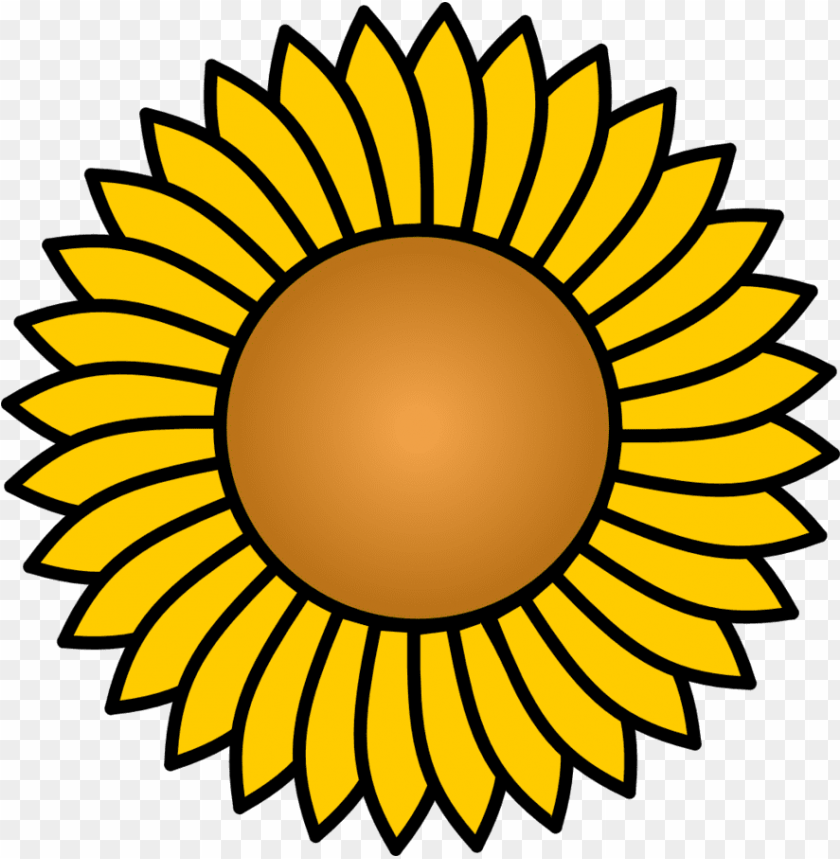sunflower png vector, sunflower,png,vector