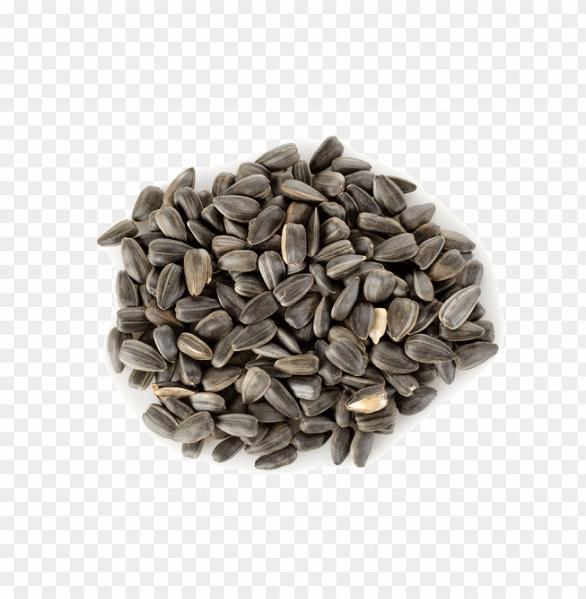 
sunflower seeds
, 
helianthus annuus
, 
linoleic
, 
sunflower oil
