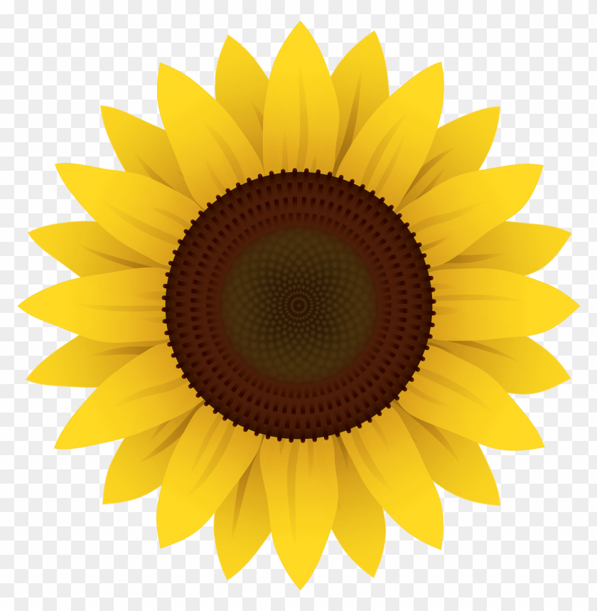 Download Sunflower Vector Png Images Background Toppng