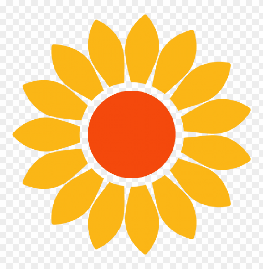 sunflower vector png, vector,png,sunflower