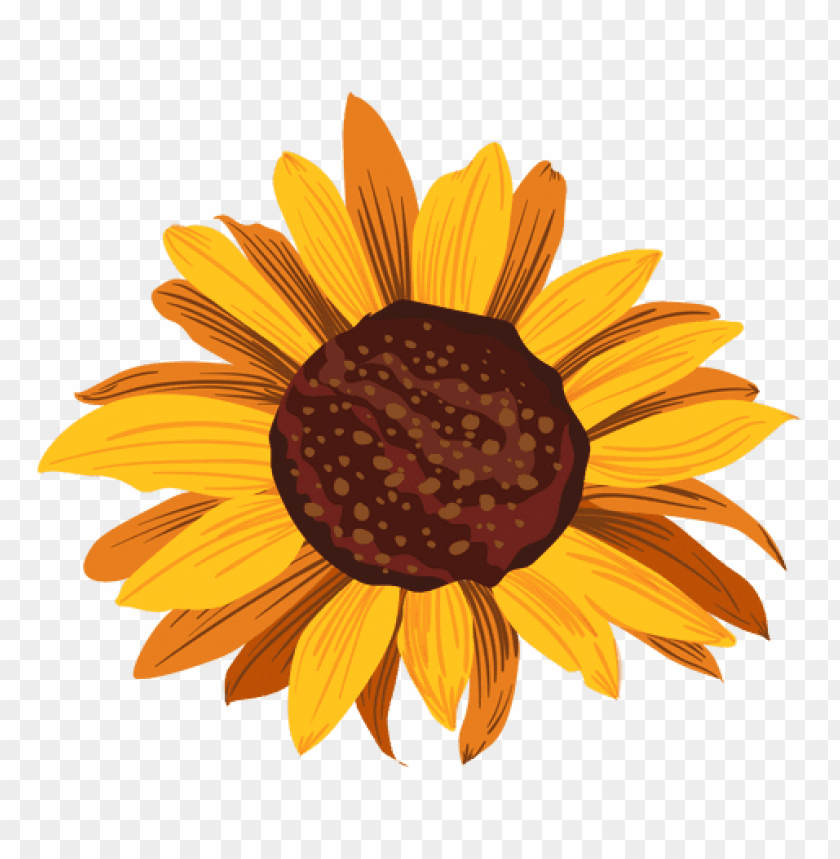 Download Sunflower Vector Png Png Image With Transparent Background Toppng