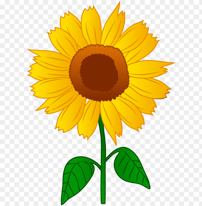 Free Free 116 Clipart Transparent Background Vector Png Sunflower SVG PNG EPS DXF File