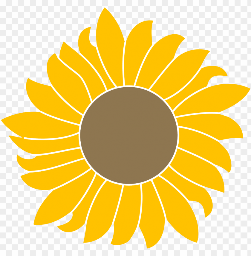 sunflower vector png, vector,png,sunflower