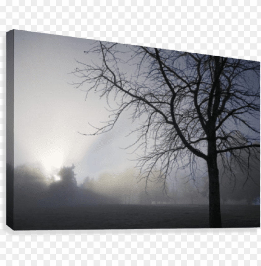 Sunrays Through Fog Canvas Print - Sunrays Through Fog Canvas Art - Craig Tuttle Desi PNG Transparent With Clear Background ID 184599