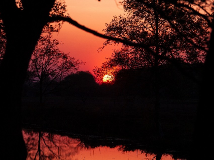 sunset, dusk, dark, outlines, trees, water, reflection