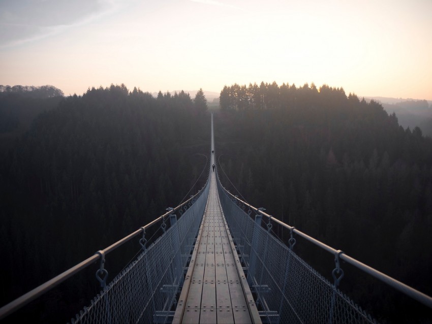 suspension bridge, bridge, fog, forest