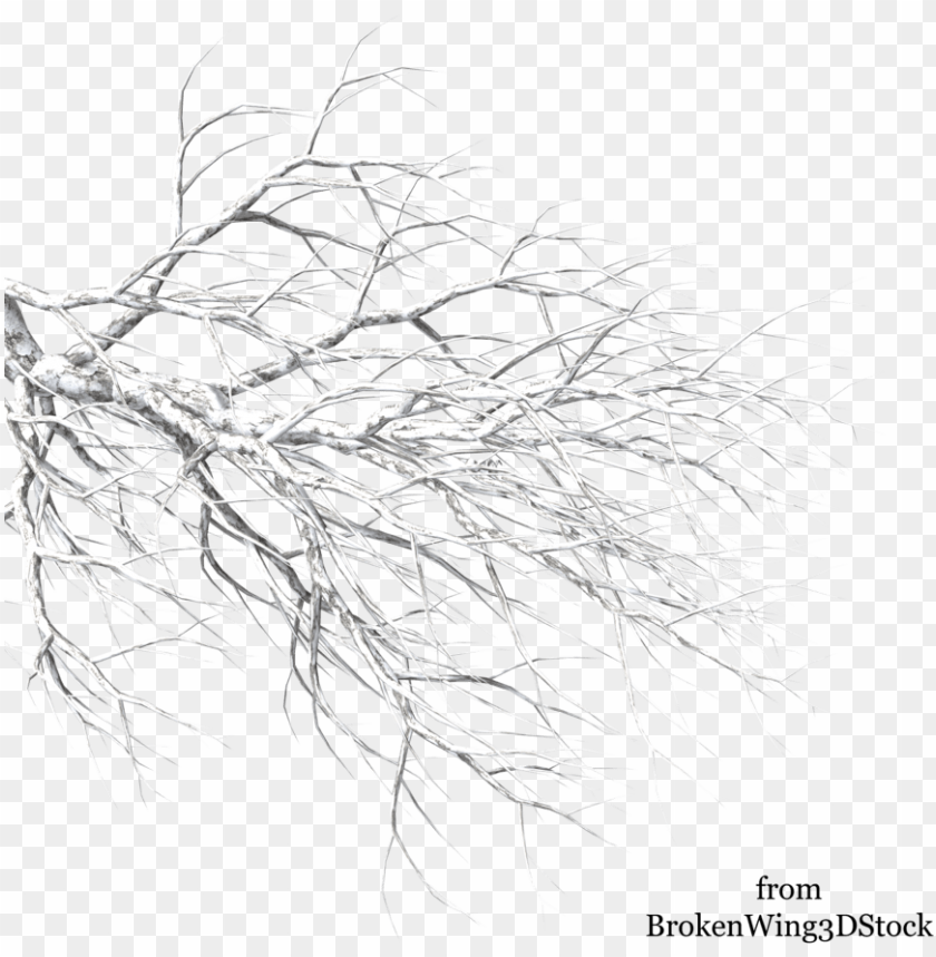 Svg Download Winter Tree By Brokenwing Dstock On Deviantart - Winter Tree Branch PNG Image With Transparent Background