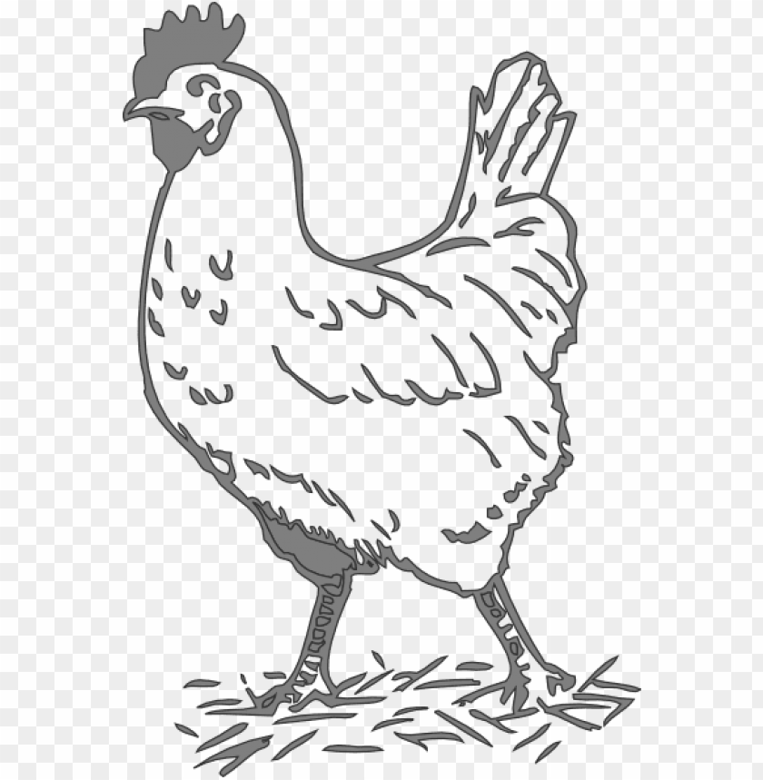 free PNG svg freeuse library gray hen clip art at clker com - black and white chicken clip art PNG image with transparent background PNG images transparent