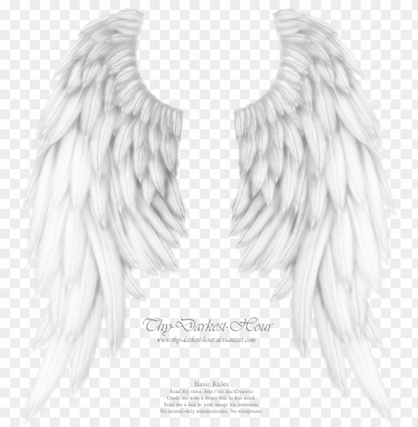 Download Svg Library Download Angels Drawing Realistic White Angel Wings Transparent Png Image With Transparent Background Toppng