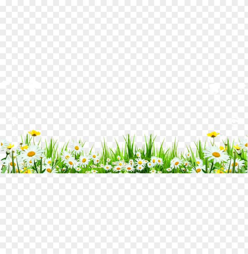 Download Svg Library Flower Download Icon Cute Flowers Roadside Grass Daisy Transparent Png Image With Transparent Background Toppng