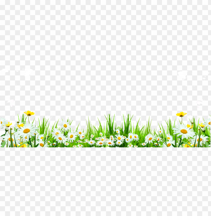 Svg Library Flower Download Icon Cute Flowers Roadside Grass Daisy Transparent Png Image With Transparent Background Toppng