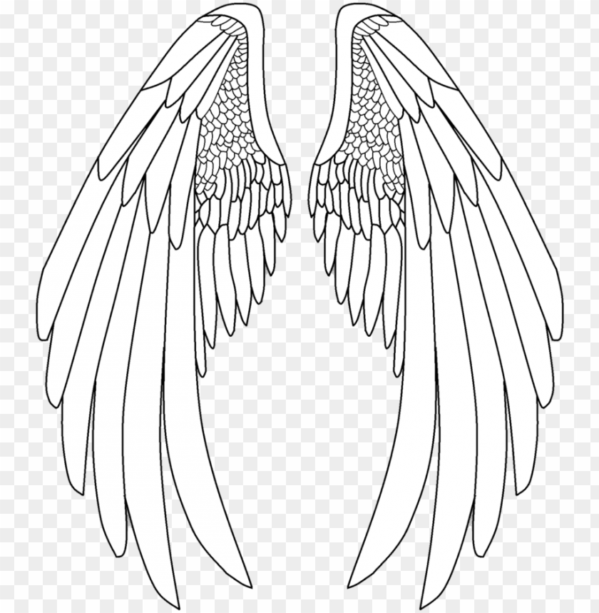 Drawn Angel Wings  Brushes  Fbrushes