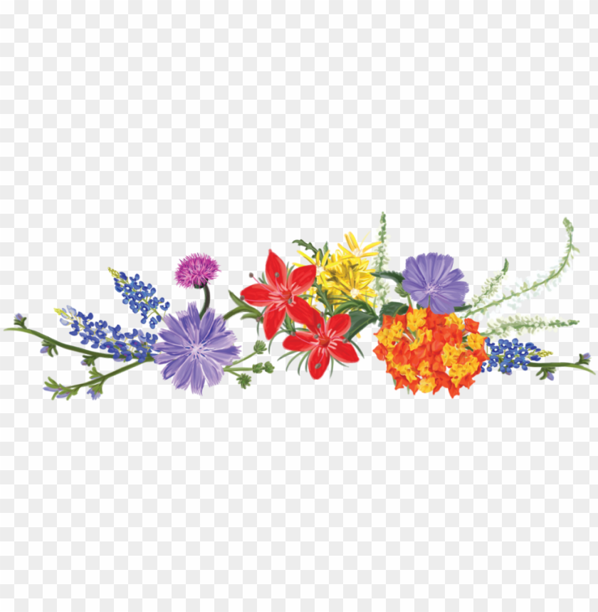 Download Svg Royalty Free Texas Wildflower Vodka Flower Png Image With Transparent Background Toppng