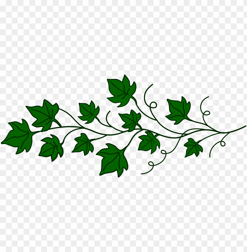 Green Vine Clip Art