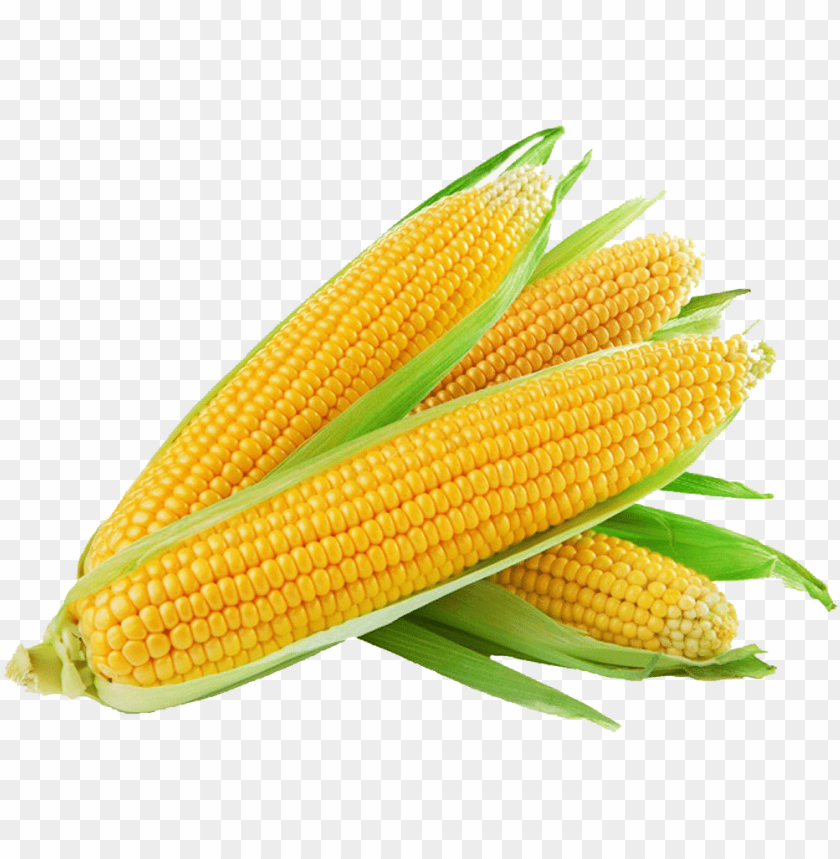 cake, ear of corn, party, vegetable, candy, ear, celebration