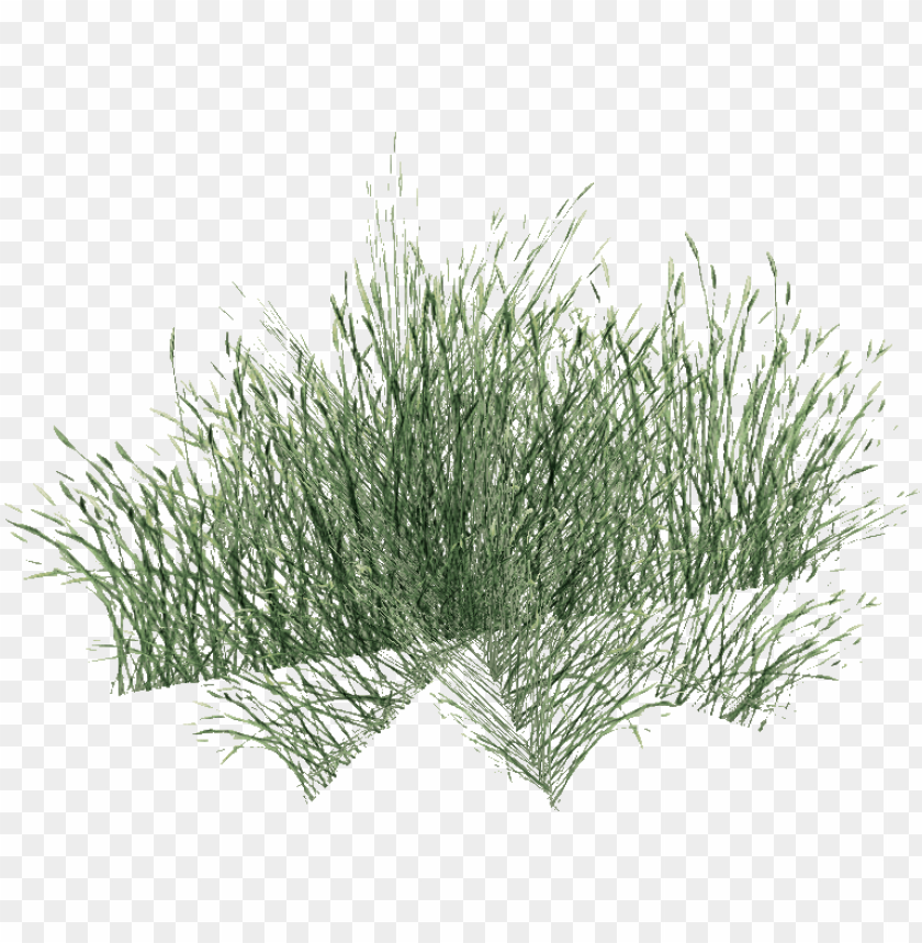 sweet grass PNG transparent with Clear Background ID 81002