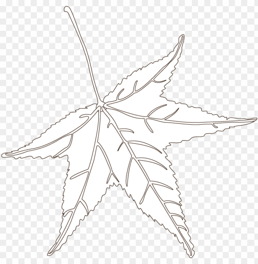 sweetgum maple leaf PNG transparent with Clear Background ID 401570