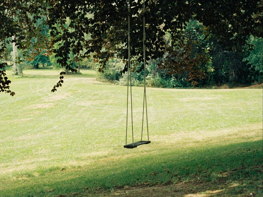 swing, tree, lawn, grass, greenery