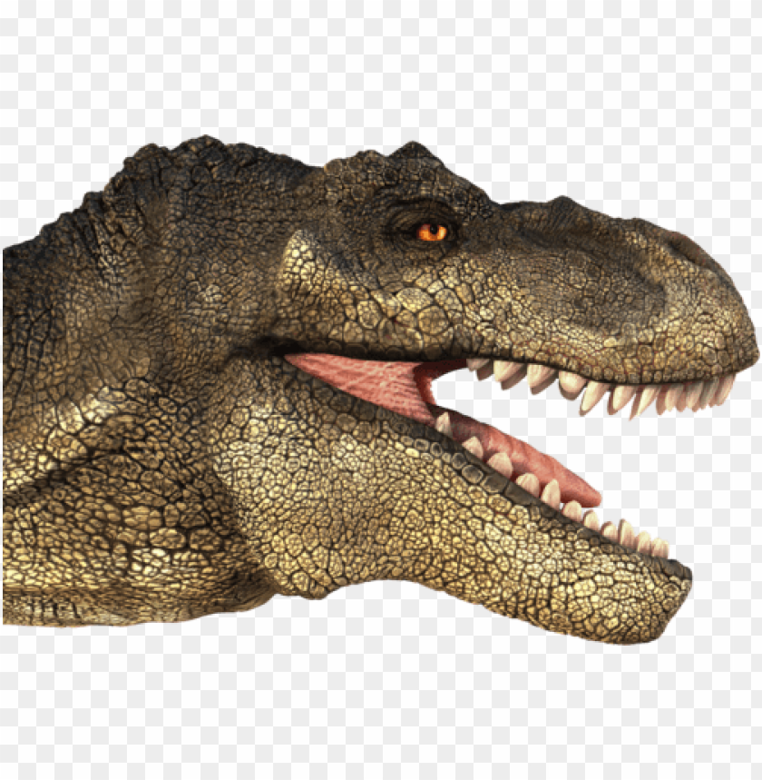 Tyrannosaurus Rex PNG Images, Tyrannosaurus Back, Ice Age, Dinosaur PNG  Transparent Background - Pngtree