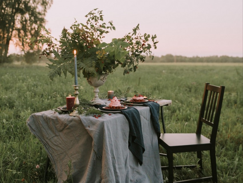 table, chair, lawn, nature, romance
