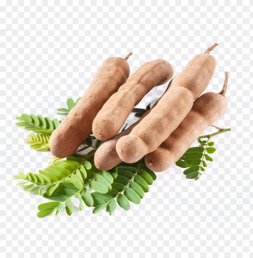 tamarind PNG images with transparent backgrounds - Image ID 13460