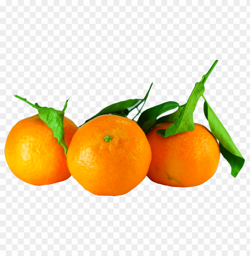 
fruits
, 
orange
, 
citrus fruit
, 
citrus
, 
tangerine
, 
mandarin orange
