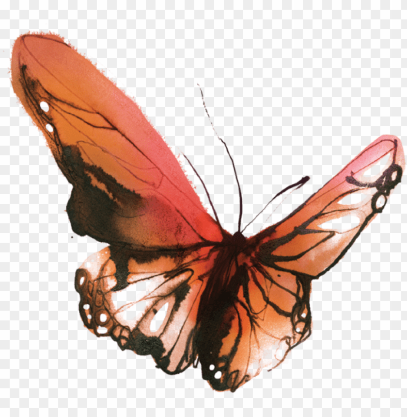 Stunning and Unique Butterfly Tattoo Ideas For You 2023