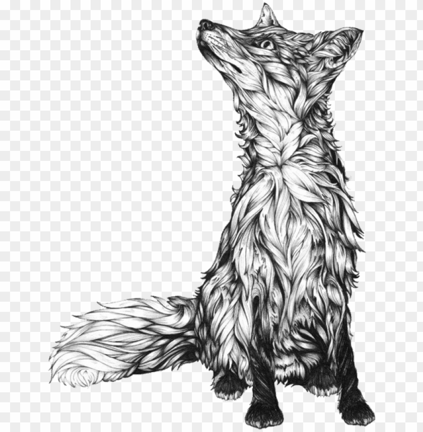 black and white fox illustration download