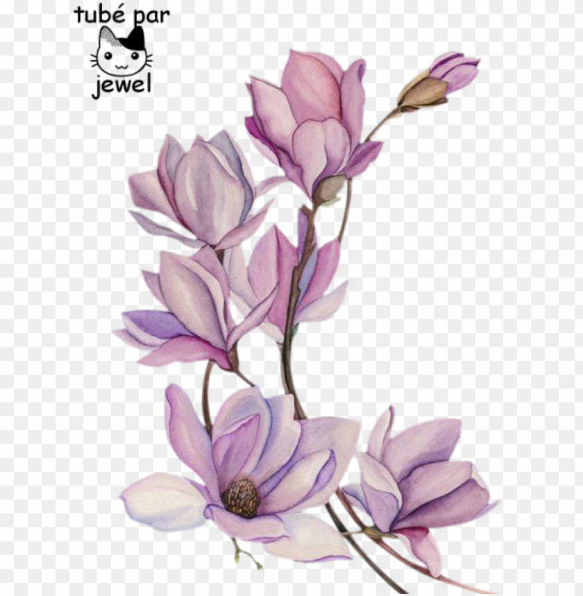 tattoo flower watercolour watercolor flowers painting - flor de magnolia  tatuaje PNG image with transparent background | TOPpng