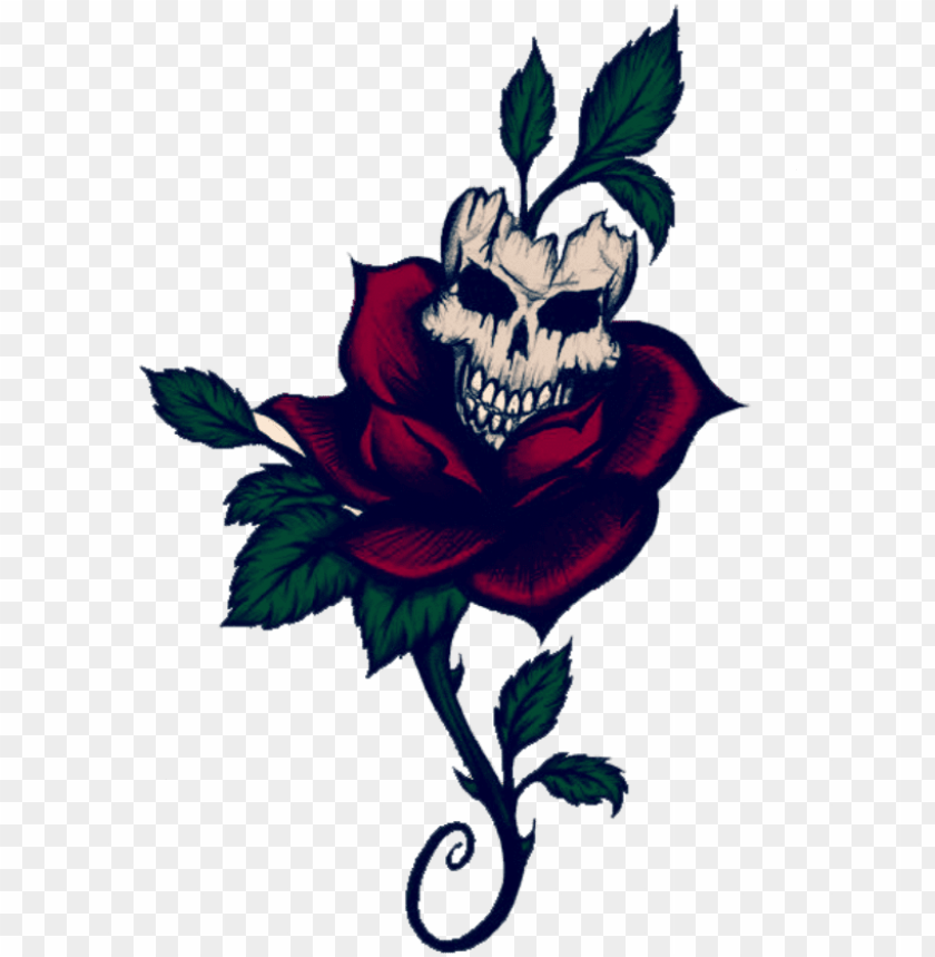 Rose Skull Tattoo Meaning A Symbolic Journey into Power and Spirituality   Impeccable Nest