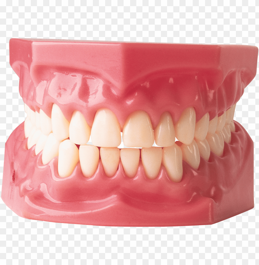 Transparent background PNG image of teeth - Image ID 18867