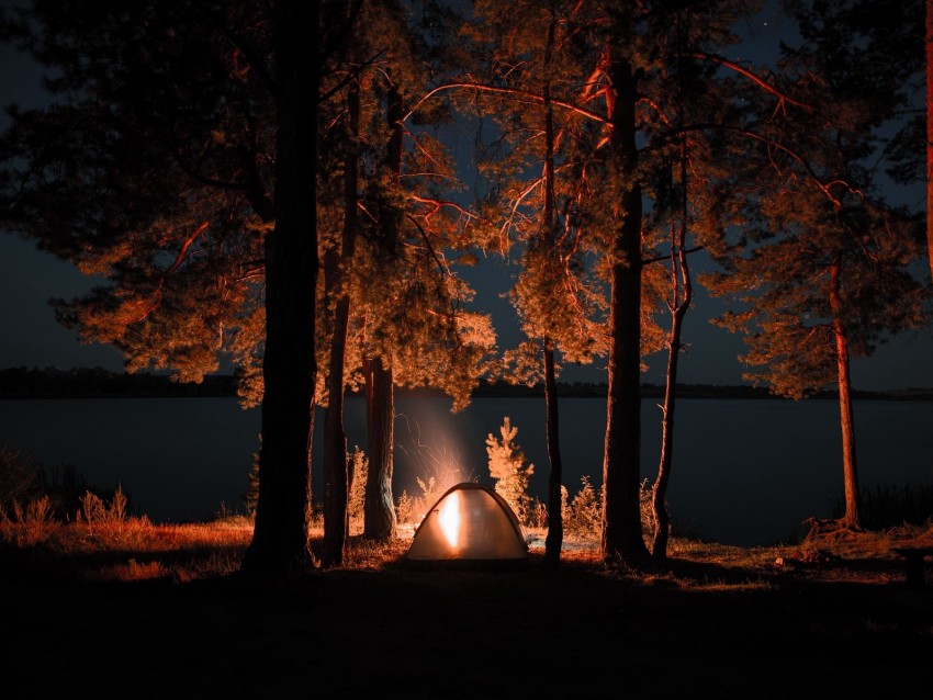 tent, campfire, camping, night, nature