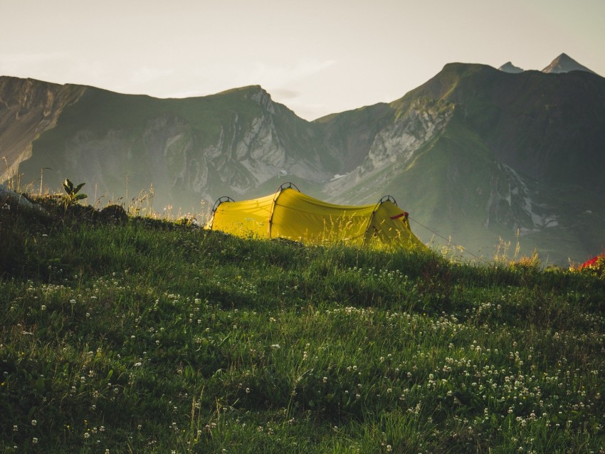 tent, camping, mountains, grass, nature