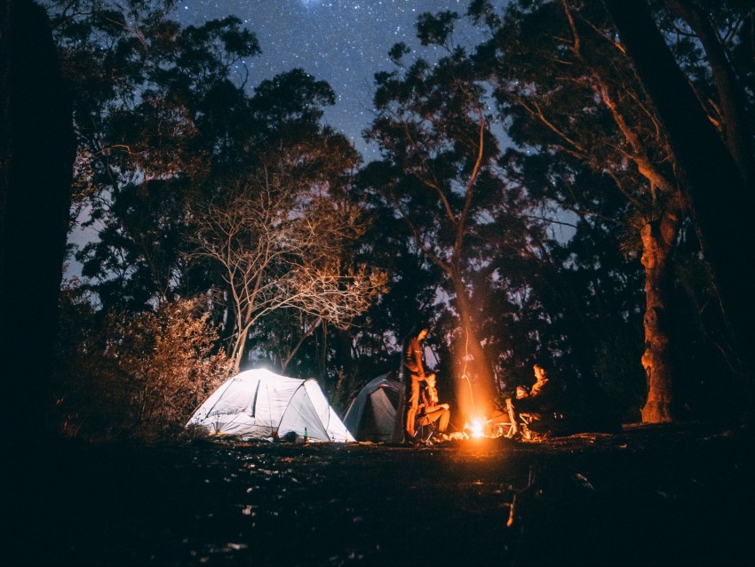tent, starry sky, bonfire, camping, recreation, trees, forest